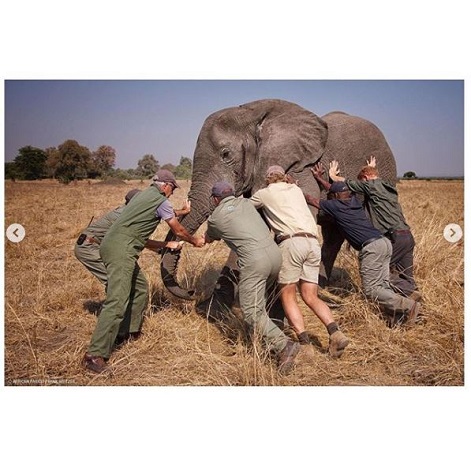 أوّل حساب للزوجين هاري وميغان على 